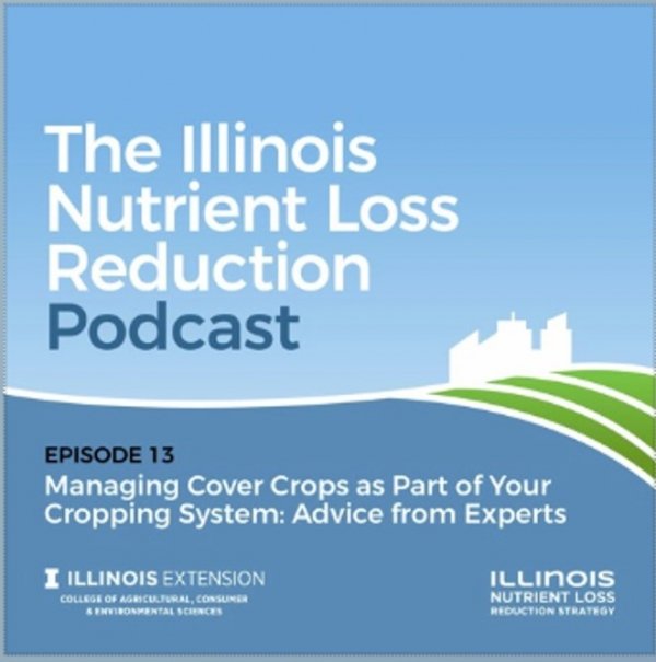 PODCAST: COVER CROPS ADVICE