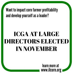 ICGA AT-LARGE DIRECTORS UP FOR ELECTION