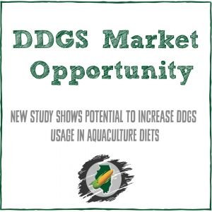 Research Confirms Additional DDGS Usage