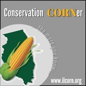 Conservation Corner: Cover Crop Edition