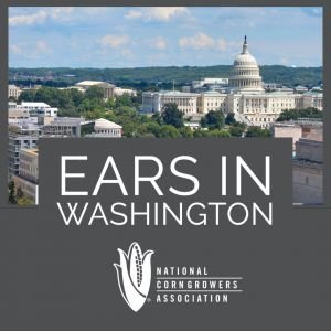 As July Ushers Heat and Controversial Issues into the Nation’s Capital, I am looking forward to a Cool Corn Congress