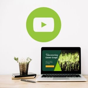 Top IL Corn Videos of 2022