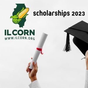 IL Corn Announces Scholarship Recipients