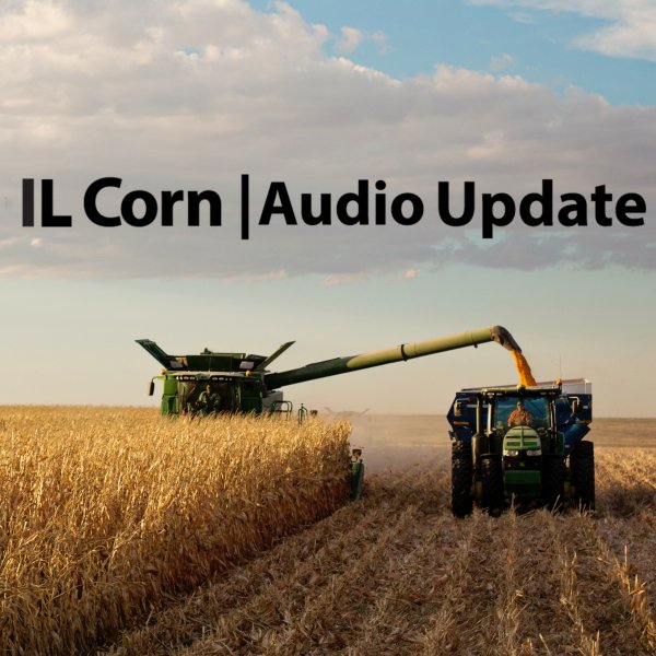 AUDIO UPDATE: IL CORN JOINS 138 AG GROUPS IN SUPPORT OF USTR ROBERT LIGHTHIZER