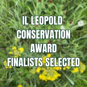 Illinois Leopold Conservation Award Finalists Selected