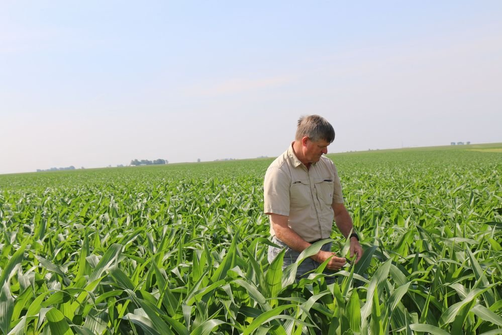 Leigh elected to NCGA Corn Board