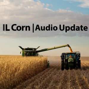 IL CORN HARVEST AND CONDITIONS REPORT FOR THE WEEK